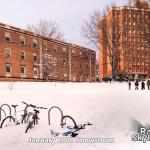 Bikes at NCSU in 22 inches of snow in Raleigh January 25, 2000