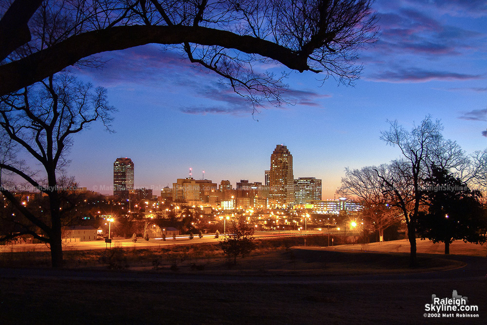 Raleigh skyline from Dorothea Dix - January 2002