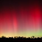 Aurora Borealis in Raleigh, NC - November 8, 2004