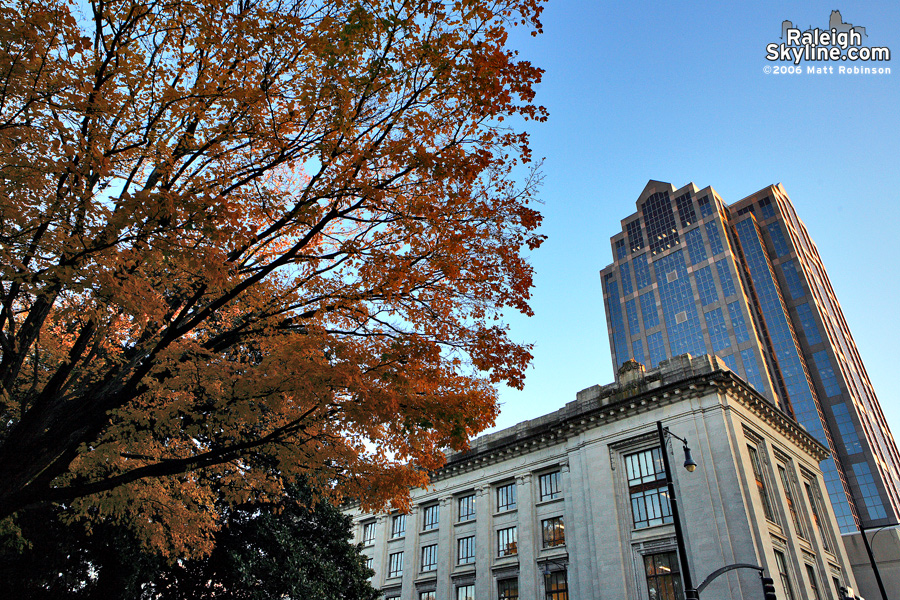 Yellow leaves on the capitol grounds and Wachovia Capitol Center.