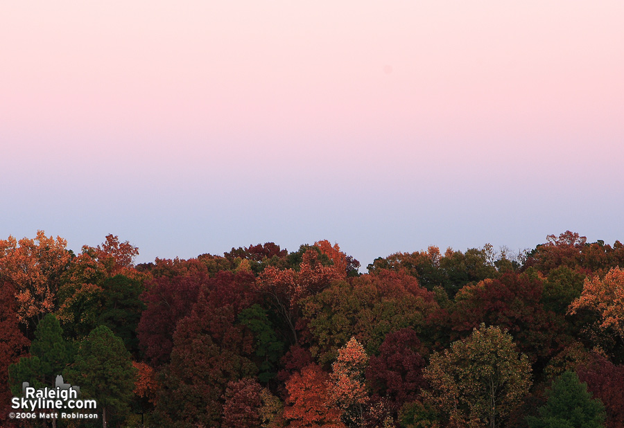 Fall colors and the belt of Venus.