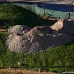 Green grass grows on a pile of construction dirt.