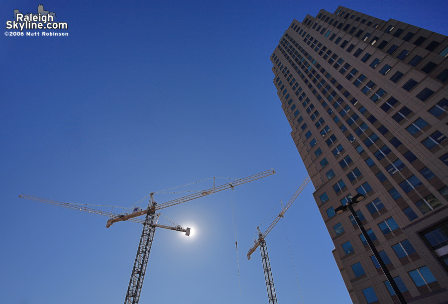 Dancing Cranes.