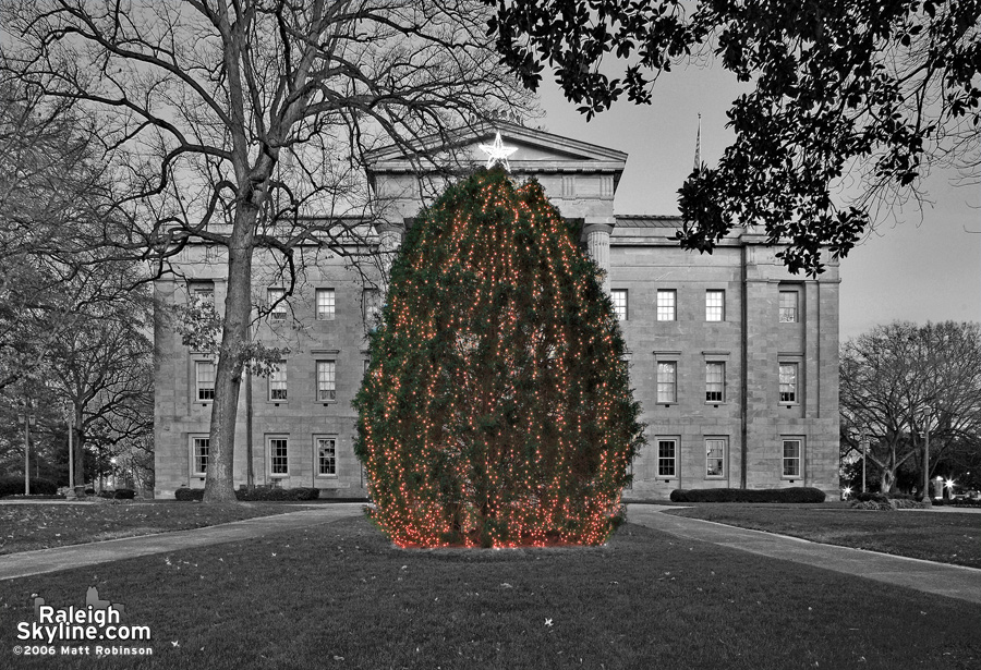 The Capitol Christmas Tree.