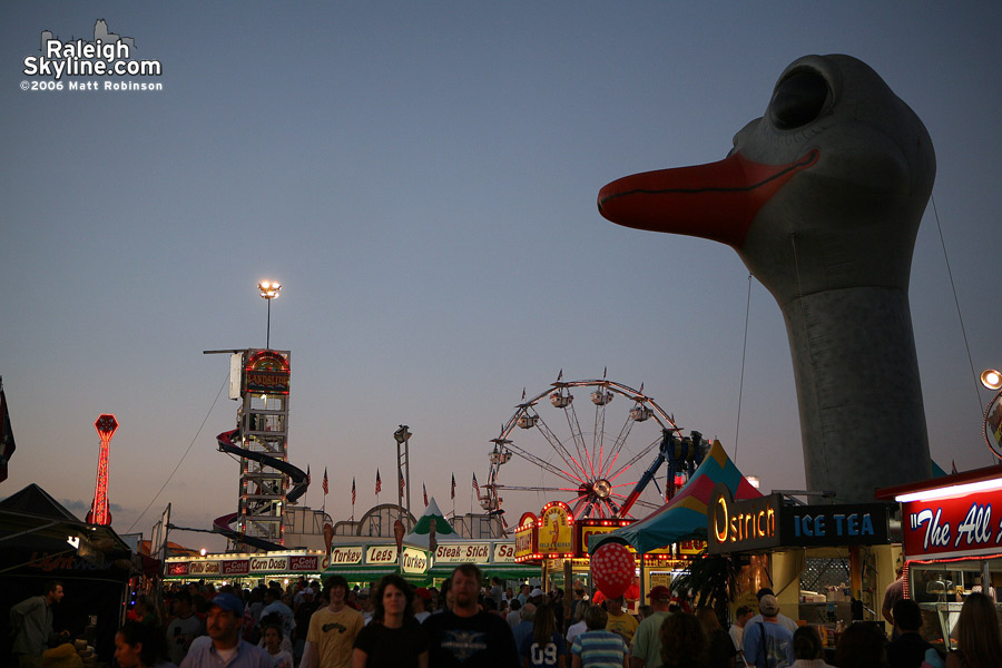 A giant ostrich head surveys the land.