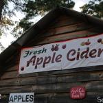 The NC State Fair Apple Cider booth...it seems prices went up this year.