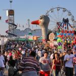 Lots of rides at the fair.