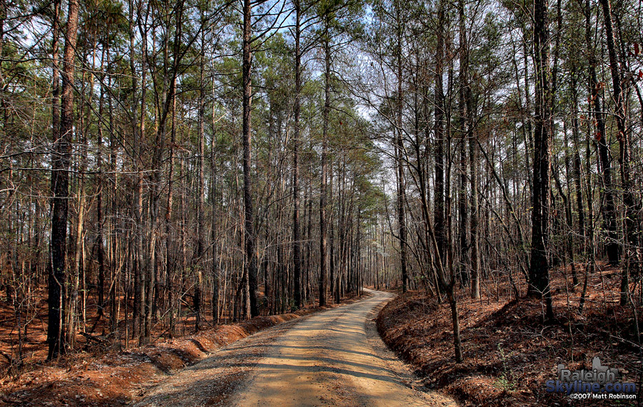 Road near Raleigh's Lake Johnson.