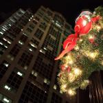 Xmas wreaths on Fayetteville Street