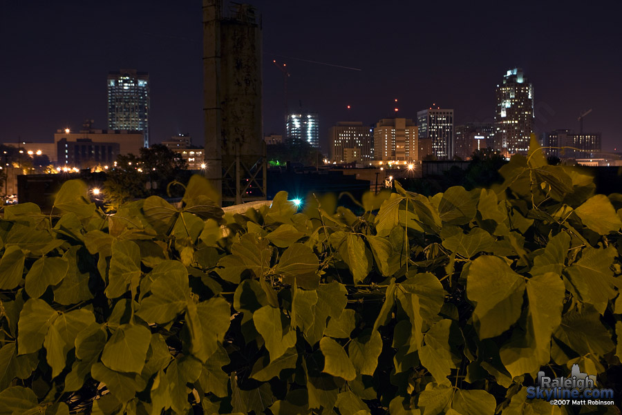 The kudzu is starting to take over.