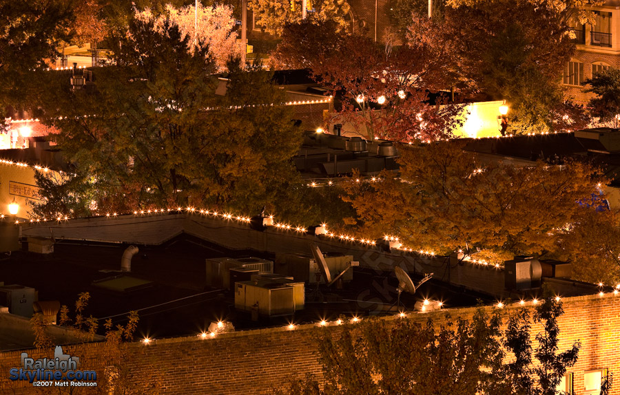 Fall colors at city market.