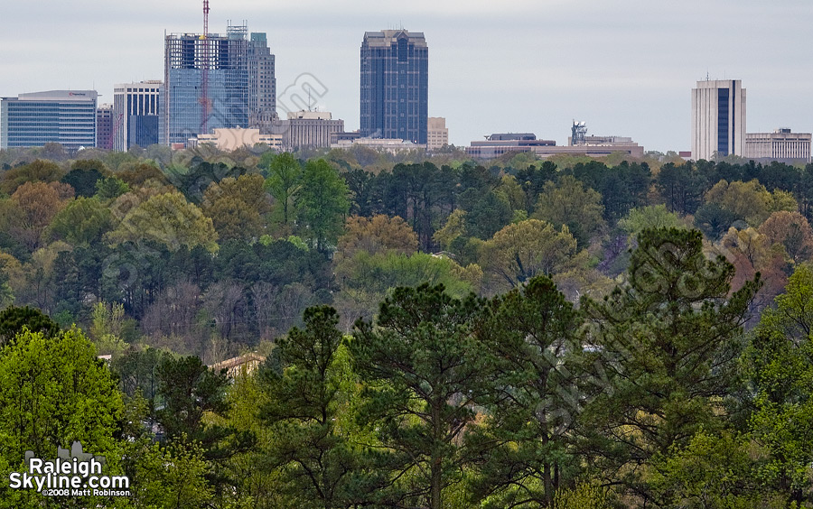 Green finally returns to Raleigh with the help of April showers.