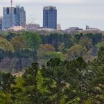 Green finally returns to Raleigh with the help of April showers.