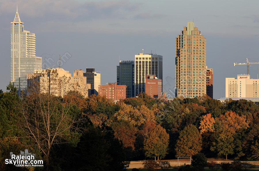 Raleigh Autumn Season Colors