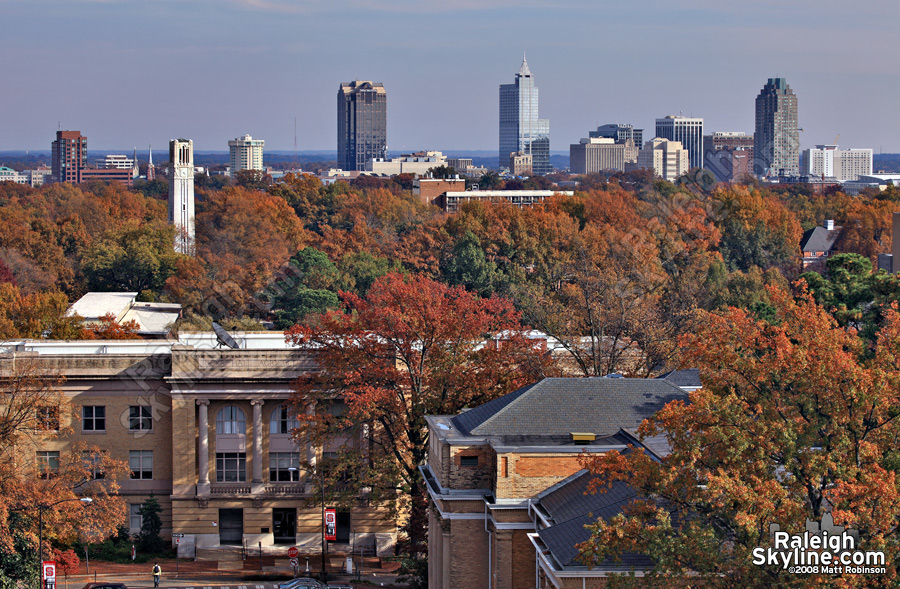 Fall Colors from NC State Campus