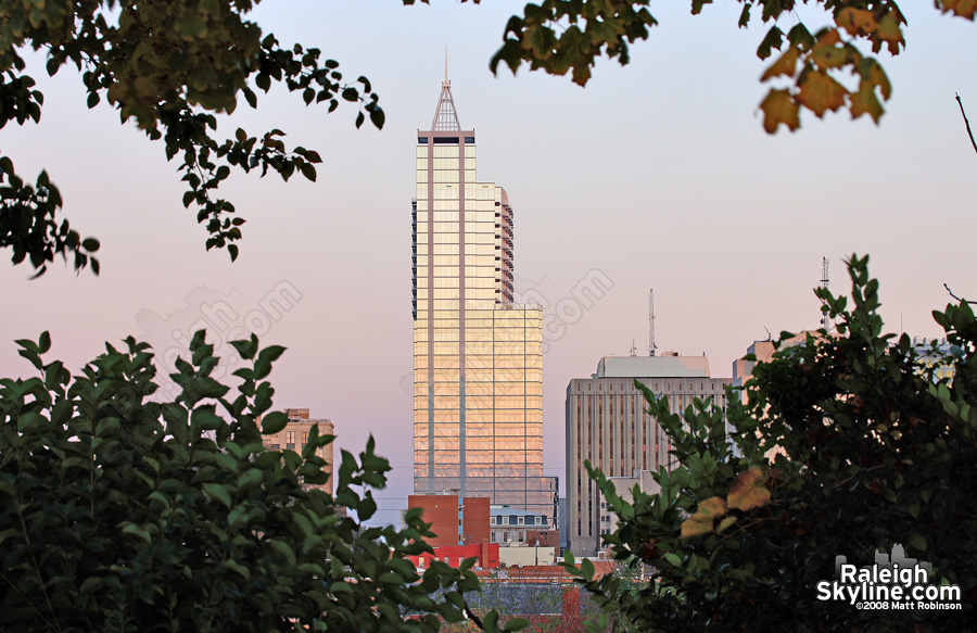 RBC Plaza reflections