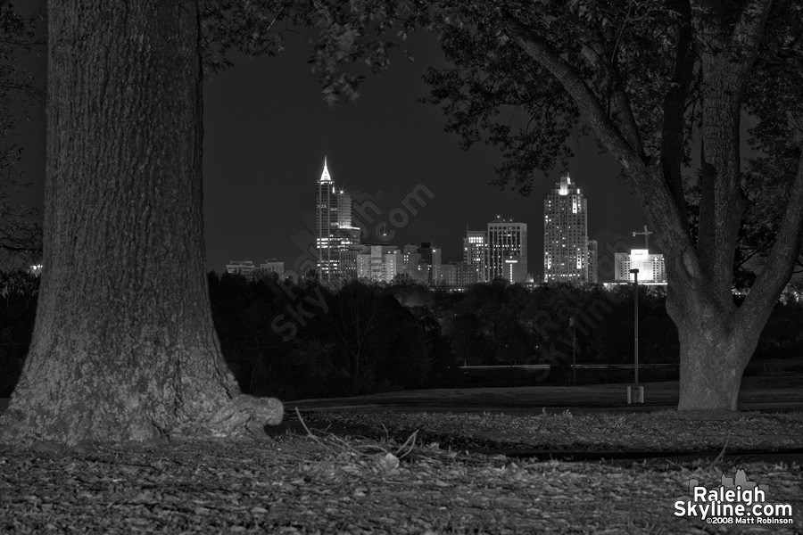 Black and While Raleigh Skyline