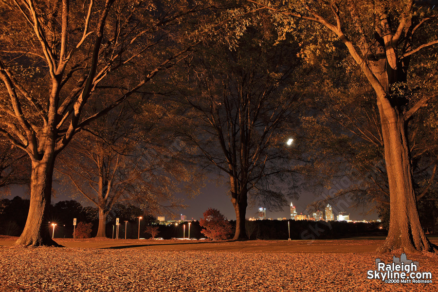 Autumn night from Dorothea Dix