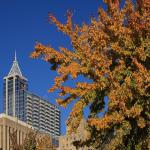 RBC Plaza with fall leaves