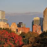 Orange leaves with Raleigh Skyline
