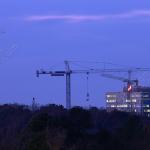Cranes