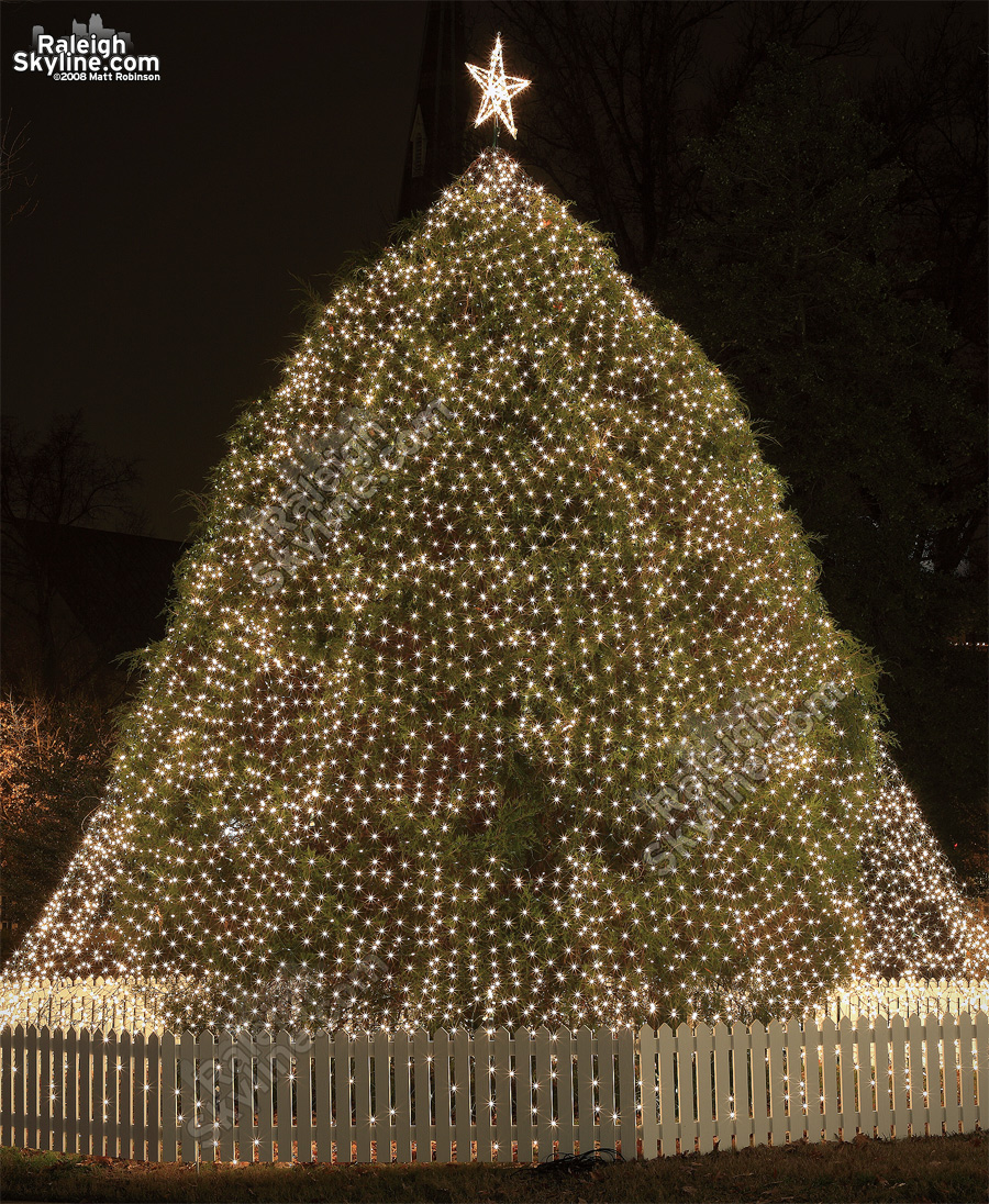 Raleigh Capitol Christmas Tree