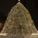 Raleigh Capitol Christmas Tree