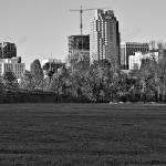 Near the South Saunders Raleigh Greenway - Black and White