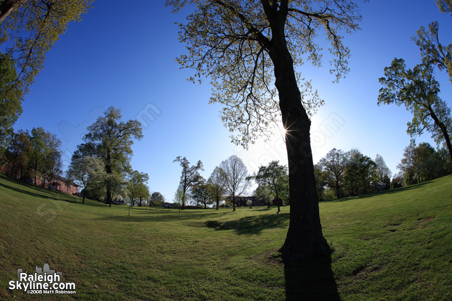 The grounds at Dorothea Dix