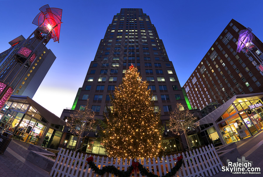 Christmas tree at Two Hannover Square