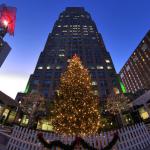 Christmas tree at Two Hannover Square