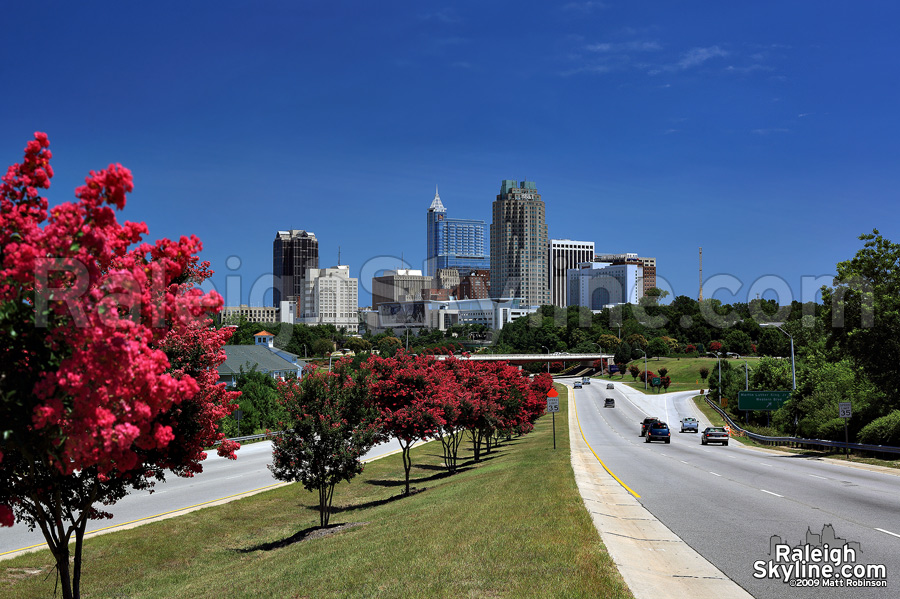 Raleigh Skyline