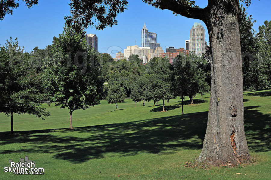 From Dorothea Dix