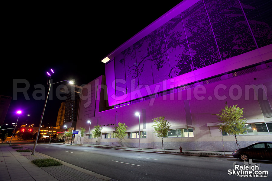 Magenta Raleigh Shimmer Wall at the Convention Center