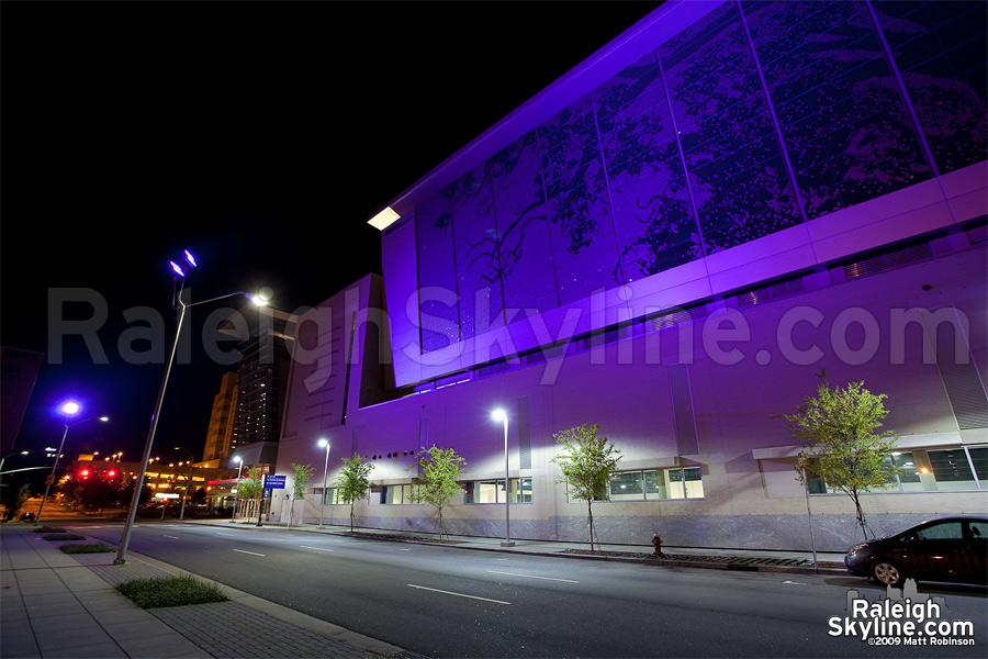 Violet Raleigh Shimmer Wall at the Convention Center