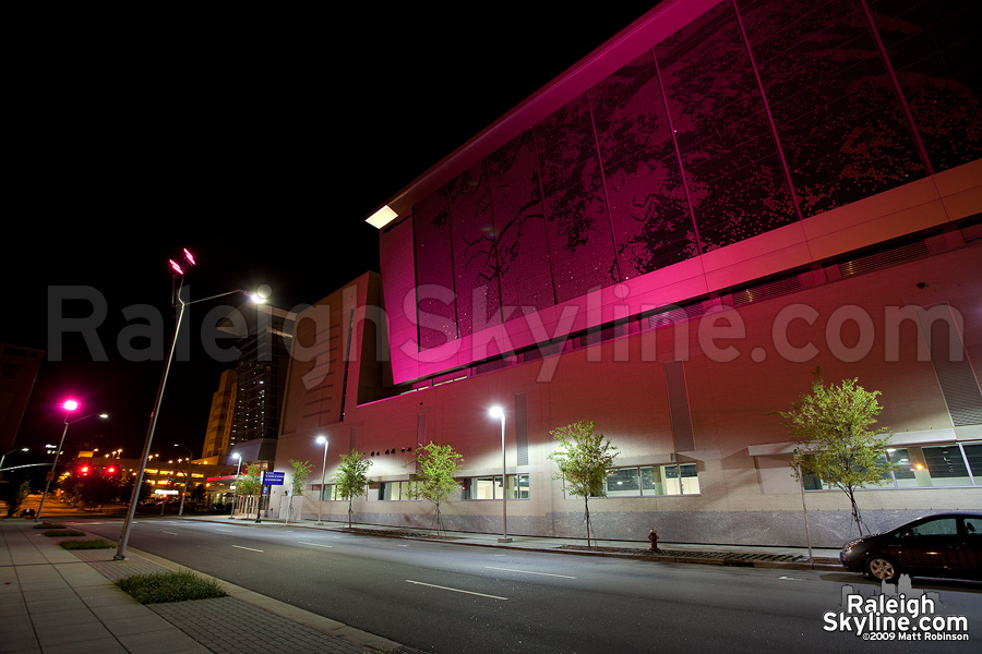 Pink Raleigh Shimmer Wall at the Convention Center