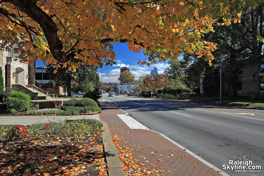 Orange and Yellow on Hillsborough Street