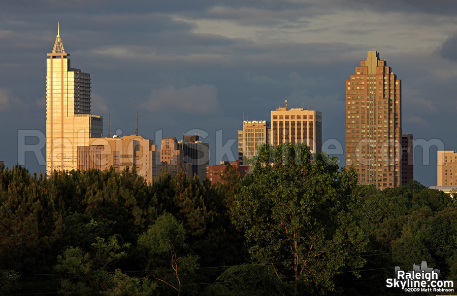 Golden Buildings