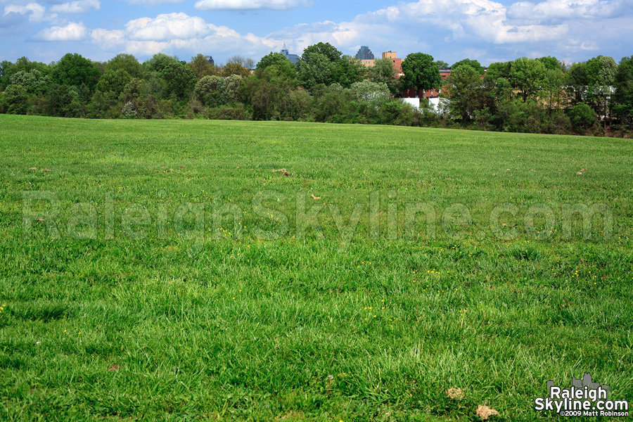 Part of the 306 acres of the campus of Dorothea Dix