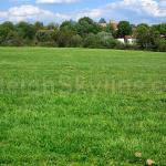 Part of the 306 acres of the campus of Dorothea Dix