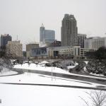 Raleigh Snow on January 20, 2009