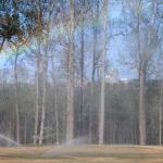 Rainbow in the sprinkler, with the skyline