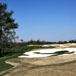 Bunkers on the Lonnie Pool Golf Course, Raleigh