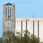 Red Tailed Hawk surveys Raleigh atop the NCSU Bell tower