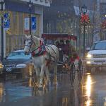 Horse Carriage in the early December snow on Fayetteville Street