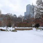 Snow blankets Moore Square