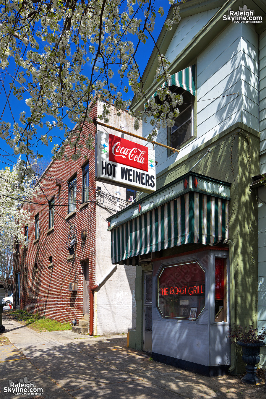 Raleigh icon The Roast Grill framed in a Bradford Pear