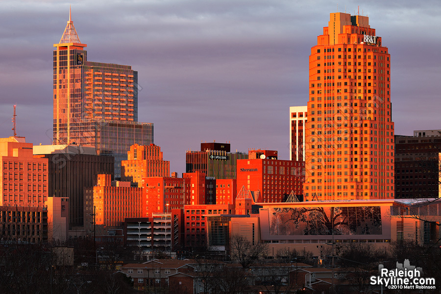 Golden downtown Raleigh