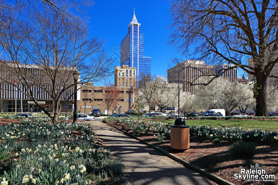 Nash Square in Raleigh during Springtime