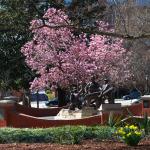 Raleigh Firefighters Memorial